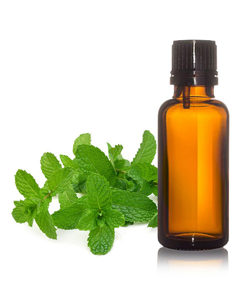 Mentha Citrata Oil